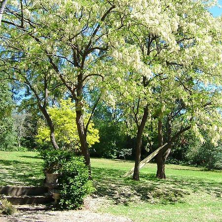 Hermitage Cottage Kurrajong Exterior foto