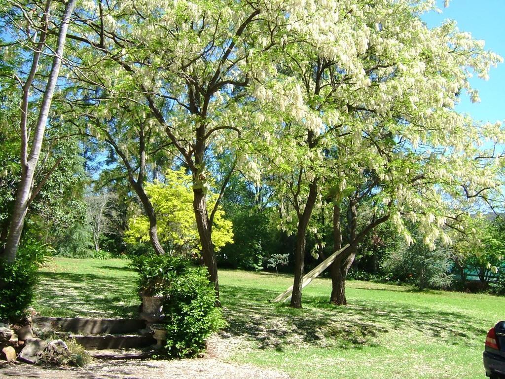 Hermitage Cottage Kurrajong Exterior foto